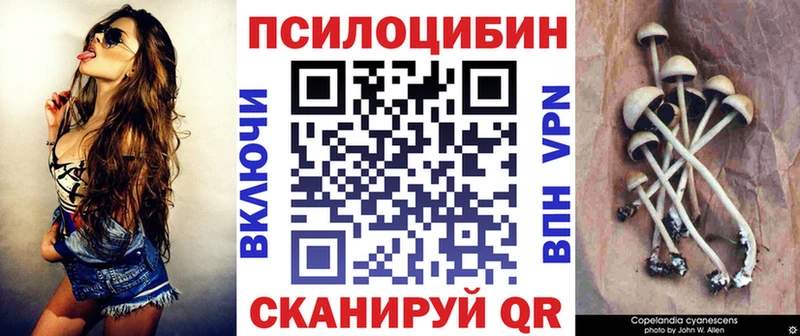 Купить где  Перевоз  Галлюциногенные грибы мицелий 